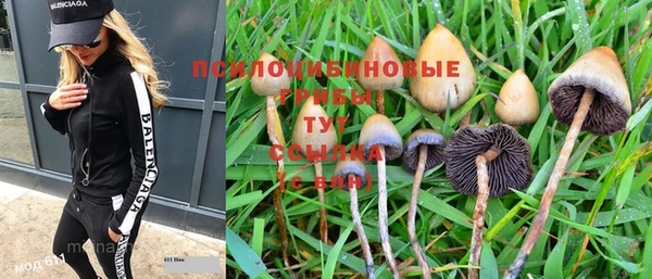 таблы Армянск