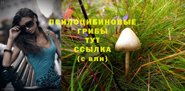 таблы Армянск